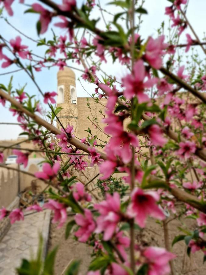 Guest House Khiva Boyjon Ota מראה חיצוני תמונה